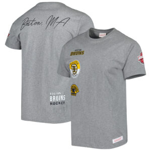 Men's Mitchell & Ness Heather Gray Boston Bruins City Collection T-Shirt